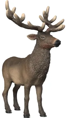 Obrázek produktu pro schleich WILD LIFE 14992, 3 rok/roky, Plast