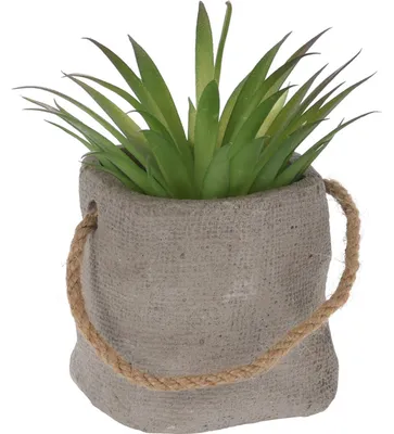Produktbild von Kunstpflanze mit Blumentopf in Beton-Optik, Ø 8 cm