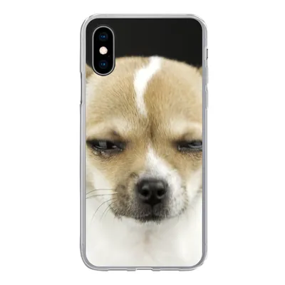 Produktbild von MuchoWow® Handyhülle Schutzhülle Hülle für iPhone X Weinender Hund auf schwarzem Hintergrund Silikon Softcase Handy Hülle