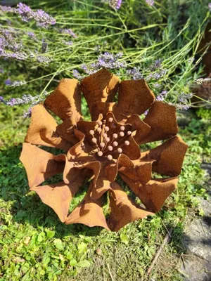 Produktbild von Edelrost Blume Daphne