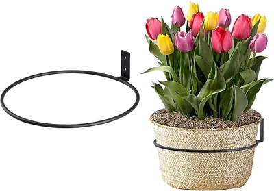 Produktbild von INF Wandblumentopfständer, Pflanzenhalter S