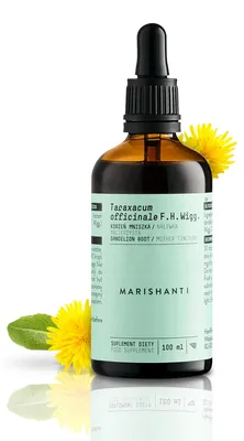 Produktbild von Löwenzahnwurzel Extrakt Tropfen alkoholfrei 100 ml