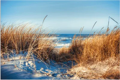 Produktbild von ARTland Wandbild Alu für Innen & Outdoor Am Strand Größe: 60x40 cm