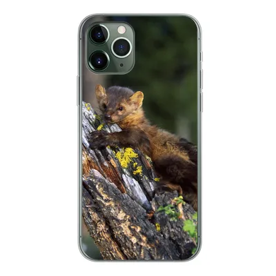 Produktbild von MuchoWow® Handyhülle Schutzhülle Hülle für iPhone 11 Pro Marder - Baum - Wald Silikon Softcase Handy Hülle - Handy