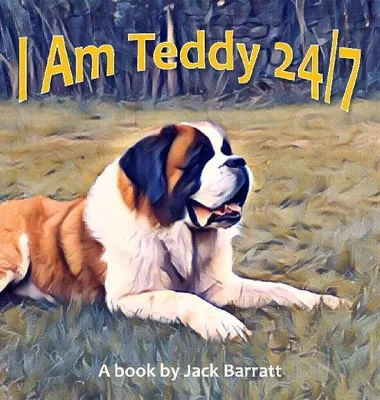 Produktbild von I Am Teddy 24/7