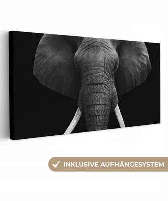 Produktbild von MuchoWow® - Leinwandbilder - Elefant - Wildtiere - Schwarz - Weiß - Porträt, Wandbild, Wanddeko Bilder Wohnzimmer, 80x40 cm