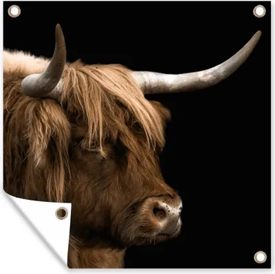 Produktbild von MuchoWow® 50x50 cm Outdoor-Poster Gartendeko Sichtschutz Garten Poster für den Garten  Schottischer Highlander - Tiere - Kuh
