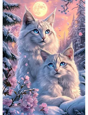 Image de Kit de peinture diamant - Motif : chat blanc - Kit de loisirs créatifs pour adultes