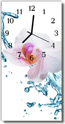 Produktbild von Tulup Glasuhr Wanduhr Küchenuhr Echt-Glas 30x60 Orchidee Mehrfarbig