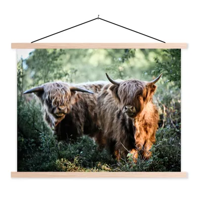Produktbild von MuchoWow® Textilposter Schottische Highlander - Wald - Tiere 60x45 cm mit holzfarbenen Rahmen - Bild