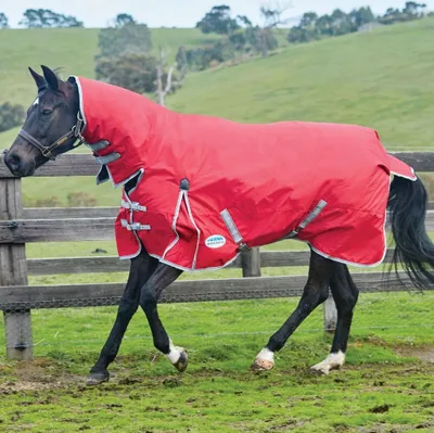 Produktbild von Weatherbeeta Comfitec Classic Combo Medium 220g - red/silver/navy, 125