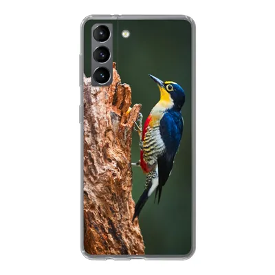 Produktbild von MuchoWow® Handyhülle Schutzhülle Hülle für Samsung Galaxy S21 Nahaufnahme eines bunten Vogels auf der Seite eines Baumstamms Silikon Softcase Handy Hülle - Softcase