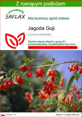 Zdjęcie produktu dla SAFLAX - Jagoda Goji - 200 Nasiona - Z podłożem uprawowym wolnym od zarazków - Lycium chinensis