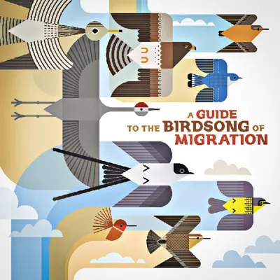 Zdjęcie produktu dla Various Artists - A Guide To The Birdsong Of Migration (LP)