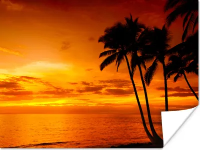 Produktbild von MuchoWow® Poster Palme - Sonnenuntergang - Tropisch - Orange - Meer 120x90 cm - Wandbild