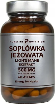 Produktbild von Pure Nutrition Löwenmähne 500 mg GEDÄCHTNISKONZENTRATION MedFuture 60 k