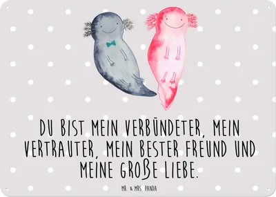 Produktbild von Mr. & Mrs. Panda tafel Axolotl Freundin DIN A6 - Grau Pastell - Geschenk, Retro Blechschild, Schild, Liebe, Wandbild, glücklich, Valentinstag, Türschild