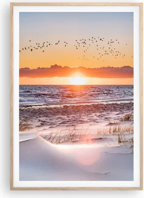 Produktbild von Gerahmtes Poster - Rahmen in heller Eiche - Sonne Strand Vögel - 70x100 cm - Wand Bild - Wanddeko - Wandbilder - Kunstposter - Wandposter - Bilderrahmen - Bilder - Kunstdruck - P2NPA70x100-4727