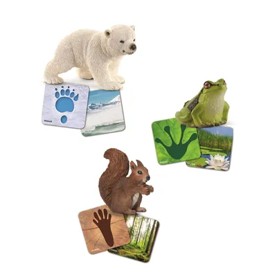 Immagine prodotto di Schleich 42474 Schleich® Wild Life - Cartoline