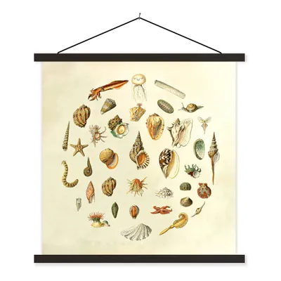 Produktbild von MuchoWow® Textilposter Muscheln - Meerestiere - Vintage 120x120 cm mit schwarzem Rahmen - Aufhängungsset
