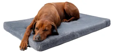 Immagine prodotto di Cuccia ortopedica viscoelastica per cani, dimensioni 60 x 45 x 7 cm