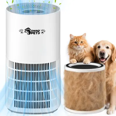 Imagen del producto de Purificador de aire Wit: 20 vatios de potencia, cobertura de 102 m², filtro HEPA, con modo nocturno, ideal para el hogar y el dormitorio