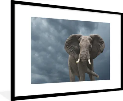Produktbild von MuchoWow® MuchoWow® Gerahmtes Poster Elefant - Wolken - Tiere - Natur 90x60 cm - Poster mit zchwarzem Bilderrahmen - Wanddekoration - Fotos