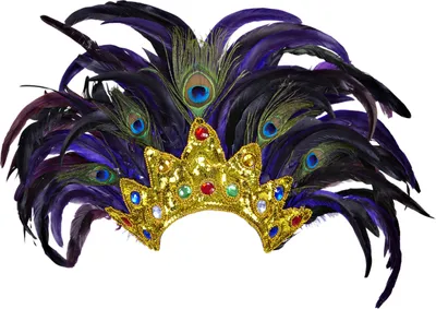 Immagine prodotto di Copricapo di piume di Rio / Carnevale Brasile