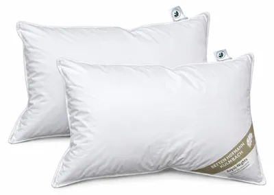 Produktbild von 2 Stück Betten Hofmann Pusta Kopfkissen Kuschelkissen Kissen 40x60  30% Daunen