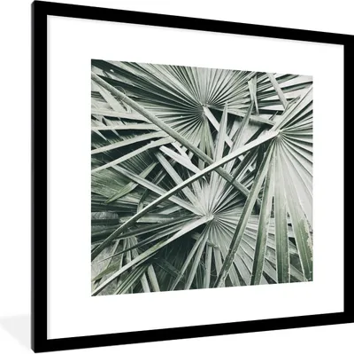 Produktbild von MuchoWow® Gerahmtes Poster Tropisch - Palmenblatt - Grün 40x40 cm - Poster mit Schwarzem Bilderrahmen Wandposter Rahmen Foto Bilder - Poster - Plakat im Rahmen