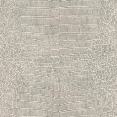 Produktbild von Vliestapete 751338 Tapete Tiere 53 x 1005 cm Rasch African Queen III Grau