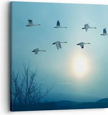 Produktbild von Bild auf Leinwand - Leinwandbild - Storch Vogel Natur - 30x30cm - Wand Bild - Wanddeko - Wandbilder - Leinwanddruck - Bilder - Kunstdruck - Wanddekoration - Leinwand bilder - Wandkunst - AC30x30-3802