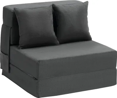 A dark gray convertible sofa bed with two dark gray pillows is shown against a white background.
