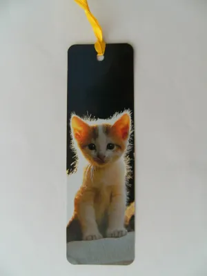 Produktbild von Lesezeichen Katzenbaby, 14 x 4 cm, Buchzeichen Bookmark Bücher Buch Tier Kätzchen