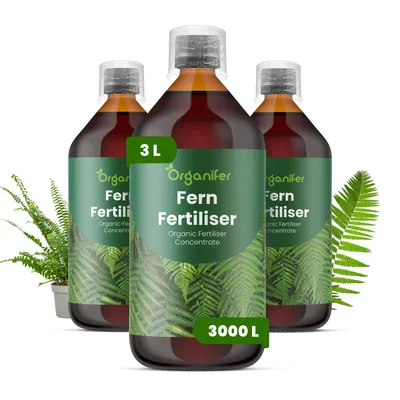Obrázek produktu pro Papraď Tekuté Hnojivo 3x1 L – 3-4-3 NPK – Pro Paprade – Pro Zdravé Listy & Bujný Růst – Podporuje Kořeny & Vitalitu – Organifer