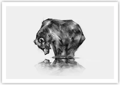 Produktbild von Poster - Poster ohne Rahmen - Bär Tier - 100x70 cm - Wand Bild - Wanddeko - Wandbilder - Kunstposter - Wandposter - Bilder - Kunstdruck - Wanddekoration - Wandbild - P2XAA100x70-3921