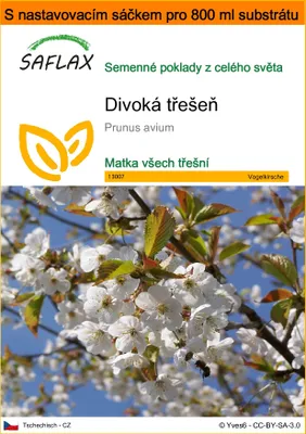 Obrázek produktu pro SAFLAX Garden in the bag - divoká třešeň - Prunus avium - 10 Semena - S pěstebním substrátem v praktickém samovztyčovacím sáčku
