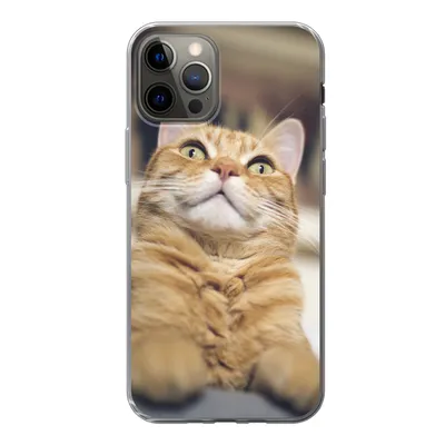 Produktbild von MuchoWow® Handyhülle Schutzhülle Hülle für iPhone 13 Pro Katze - Bank - Orange Silikon Softcase Handy Hülle - Handy-Tasche