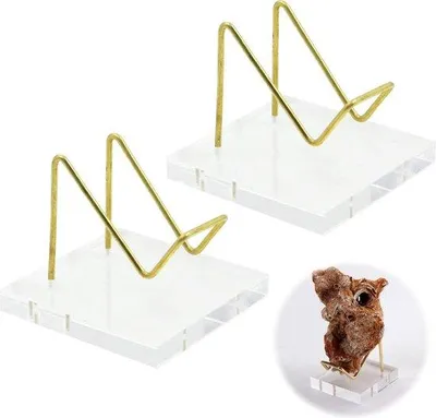 Produktbild von Mini-Acryl-Display für Mineralien - Helder Stand für Korallen - 2-teilige Dekorationshalter für Uhren, Medaillen und Capsules.