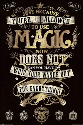 Zdjęcie produktu dla Plakat „Pyramid Harry Potter Magic” 61 x 91,5 cm.