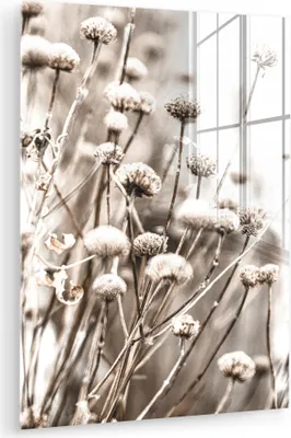 Produktbild von MuchoWow Glasbilder - Bilder auf Wandbild - Foto auf Glas Blumen - Pflanzen - Stillleben - Natur 30x40 cm Wanddekoration aus Glas - Acrylglasbild - Acrylbilder - Wohnzimmer - Fotos