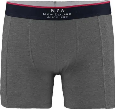 Image de Nza New Zealand Bollons Boxers 2 unités Gris L Hommes Gris L