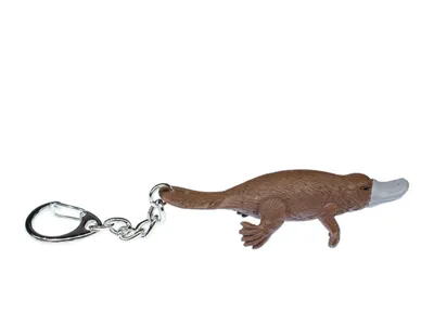 Produktbild von Schnabeltier Schlüsselanhänger Miniblings Platypus Australien Brückentier 7cm