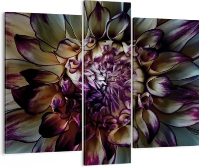 Produktbild von Bild auf Leinwand - Leinwandbild - 3 Teile - Blätter Agave Blume - 95x80cm - Wand Bild - Wanddeko - Wandbilder - Leinwanddruck - Bilder - Wanddekoration - Leinwand bilder - Wandbild - CB95x80-5122