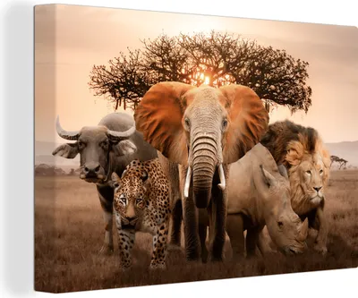 Produktbild von MuchoWow® - Leinwandbilder - Tiere - Elefant - Löwe, Wandbild, Wanddeko Bilder Wohnzimmer, 90x60 cm