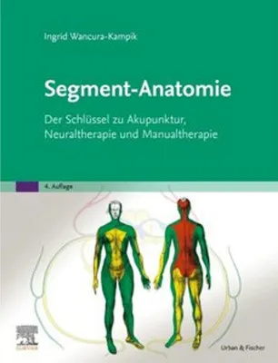 Image de Segment-Anatomie