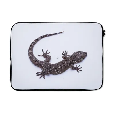 Obrázok produktu pre Puzdro na notebook 13 palcov Brooks tjitjak gecko Taška na notebook