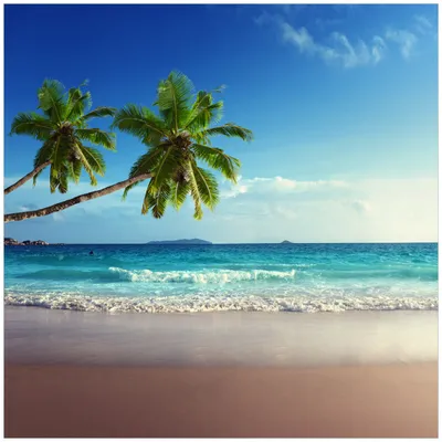 Produktbild von Wallario Möbeldesign / Aufkleber, geeignet für Ikea Lack Tisch - Sandstrand auf den Seychellen - Urlaub unter Palmen in 55 x 55 cm