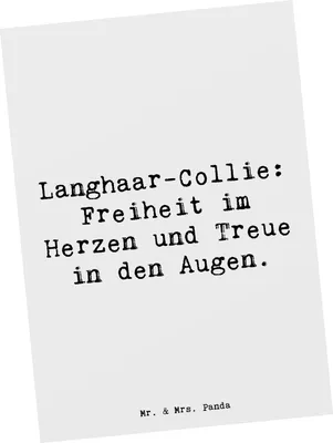 Produktbild von Mr. & Mrs. Panda Postkarte Spruch Langhaar Collie Treue - Weiß - Geschenk, Grußkarte, einzelkarte, Hundeessenz, Hunderassen Eigenschaften, Fellpflege, Hundeliebe