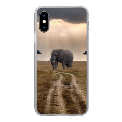 Produktbild von MuchoWow® Handyhülle Schutzhülle Hülle für iPhone X Elefant - Tiere - Wiese - Sonne Silikon Softcase Handy Hülle - Handyhülle